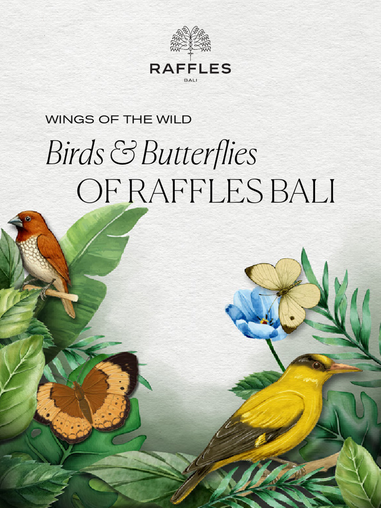 Birds and Butterflies Watching Booklet (100925) | PDF | Birds