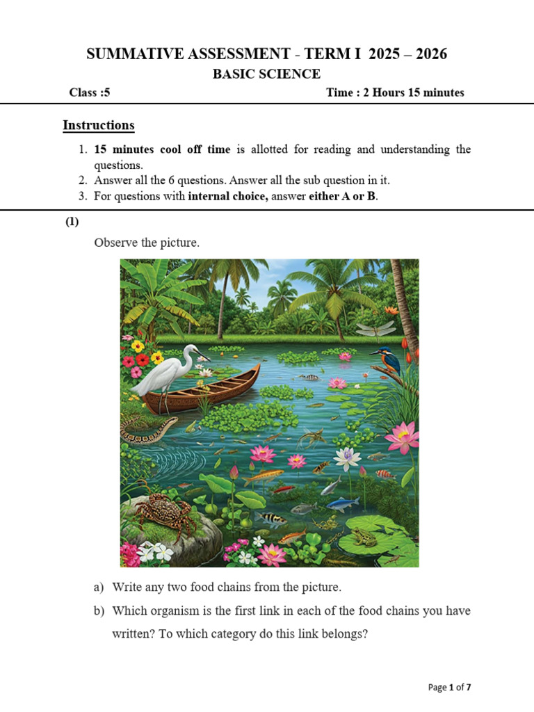 Class 5 Basic Science Assessment 2025-26 | PDF | Photosynthesis | Infection