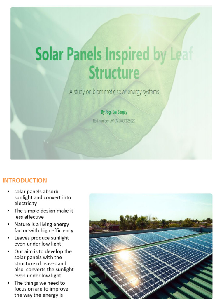 Leaf-Inspired Solar Panel Innovations | PDF | Leaf | Photovoltaics