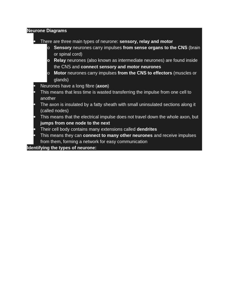 Document 33 | PDF