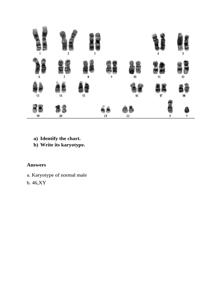 Karyotypes and Genetic Disorders Overview | PDF