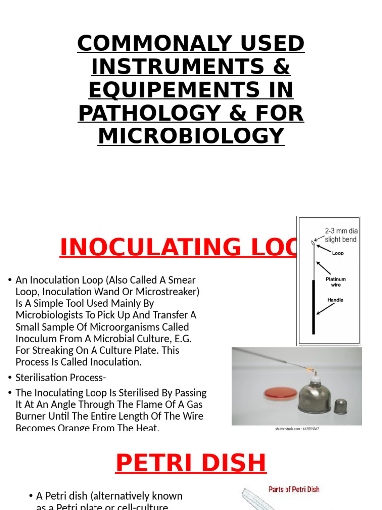 Essential Pathology and Microbiology Tools | PDF | Red Blood Cell | Biology