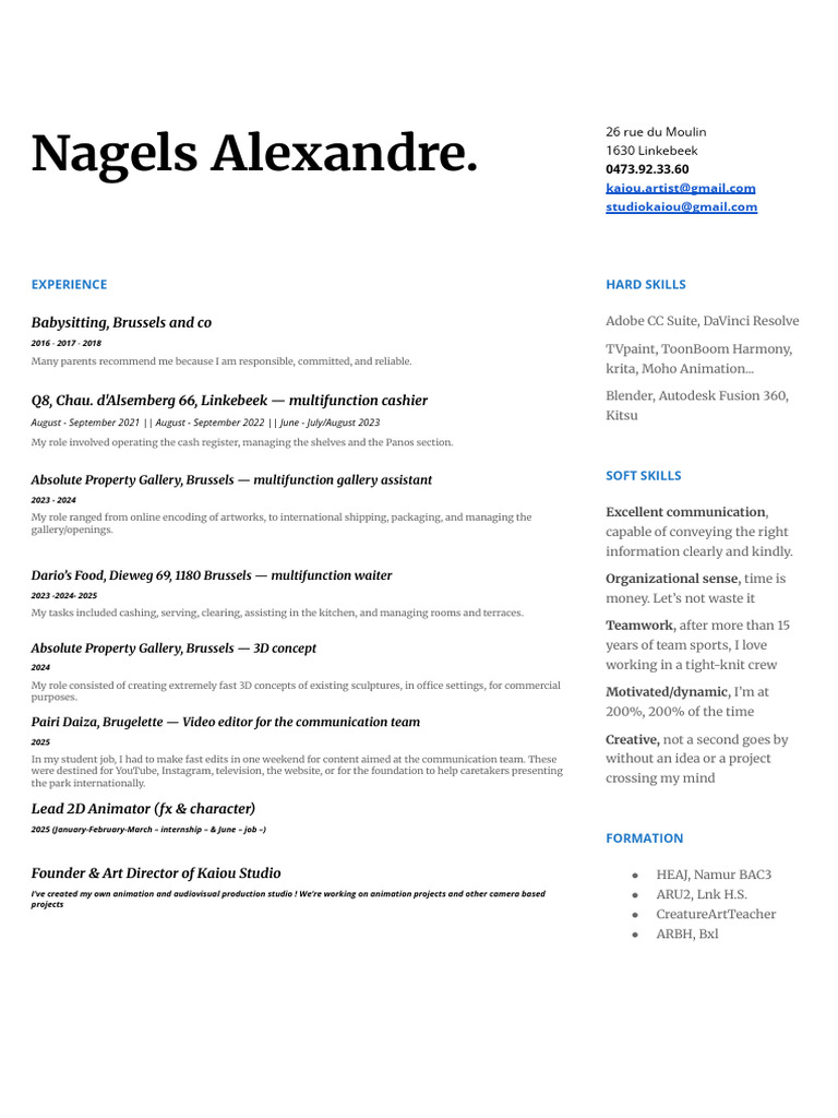 Nagels Alexandre: Creative Professional Profile | PDF