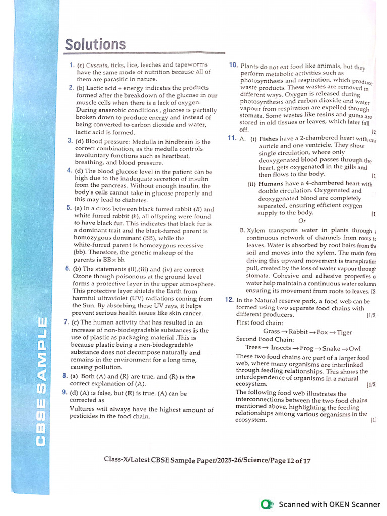10th Sample Paper Solution 25-26 | PDF