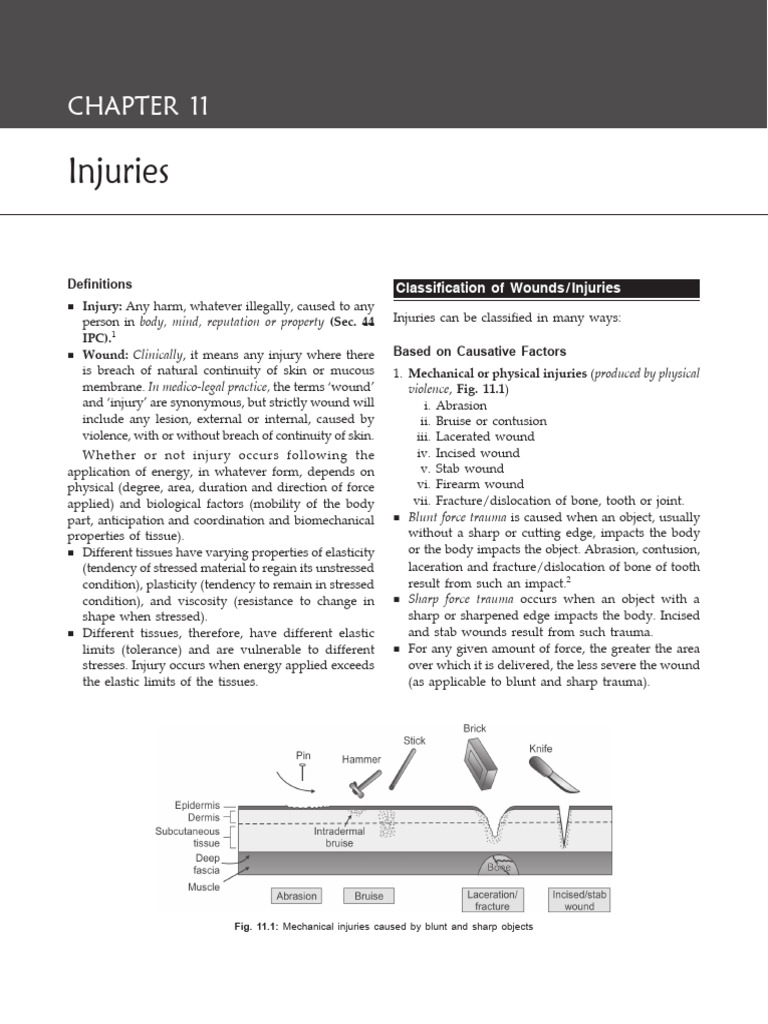 Understanding Injuries and Wounds | PDF | Skin | Medical Specialties