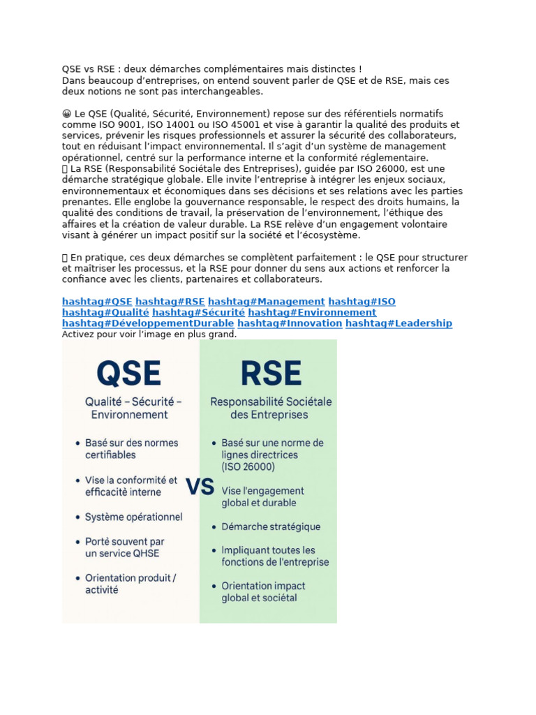 QSE et RSE : Distinctions et Synergies | PDF