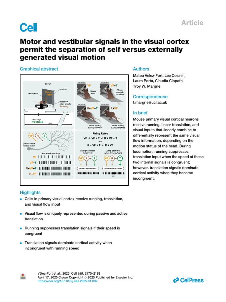 Visual Cortex Separates Self-Motion Signals | PDF | Cerebral Cortex ...
