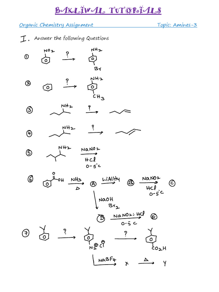 Amines Assignment 3 | PDF