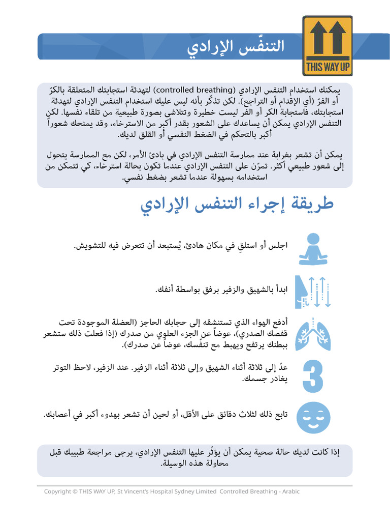 1 Arabic Brochures | PDF