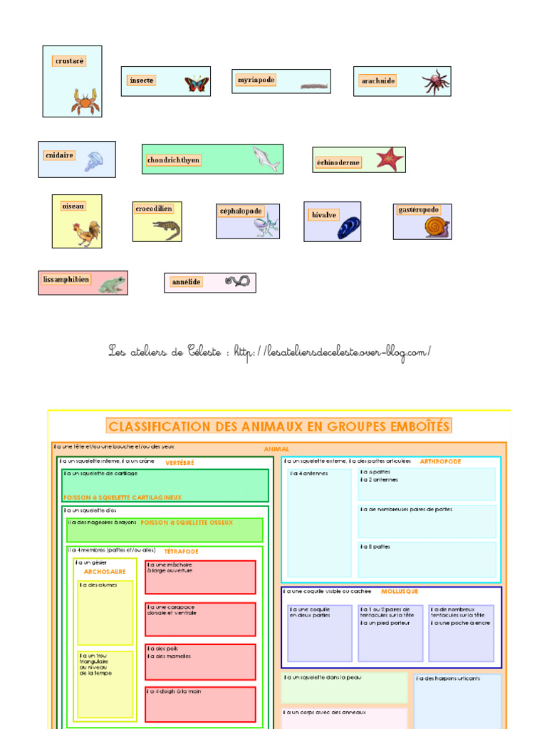 Classification Des Animaux Emboitée | PDF
