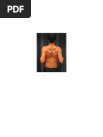GIRD Shoulder Rehabilitation Exercises | PDF | Anatomical Terms Of ...