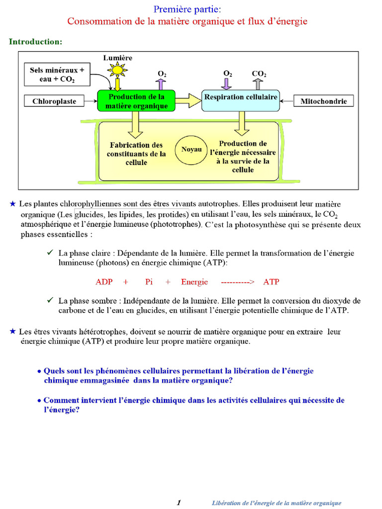 1 SVT | PDF