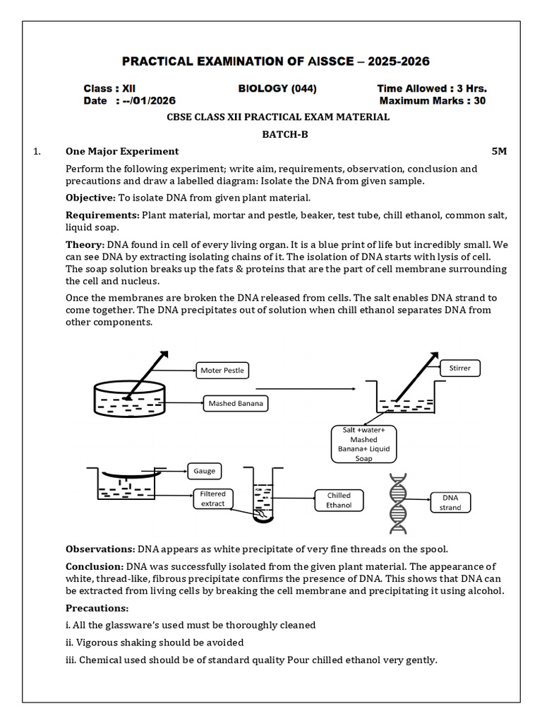CBSE Class XII Practical Exam Guide | PDF | Chromosome | Cell Biology