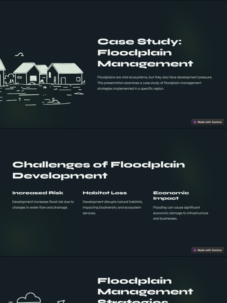 Floodplain Management Case Study Insights | PDF