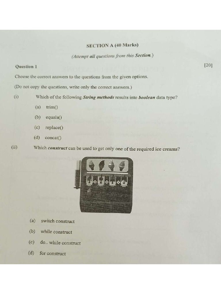 Class - 10 - Computer Application Paper | PDF