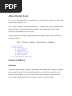 Human Anatomy Diagrams | PDF | Human Body | Anatomy