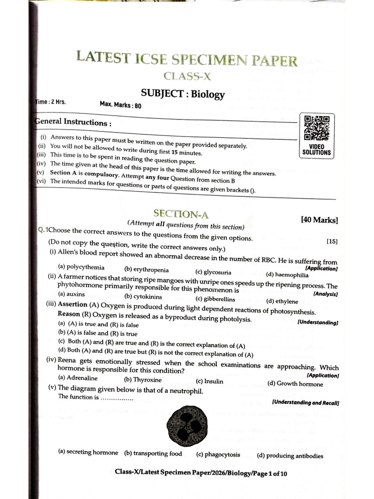 Document 15 | PDF