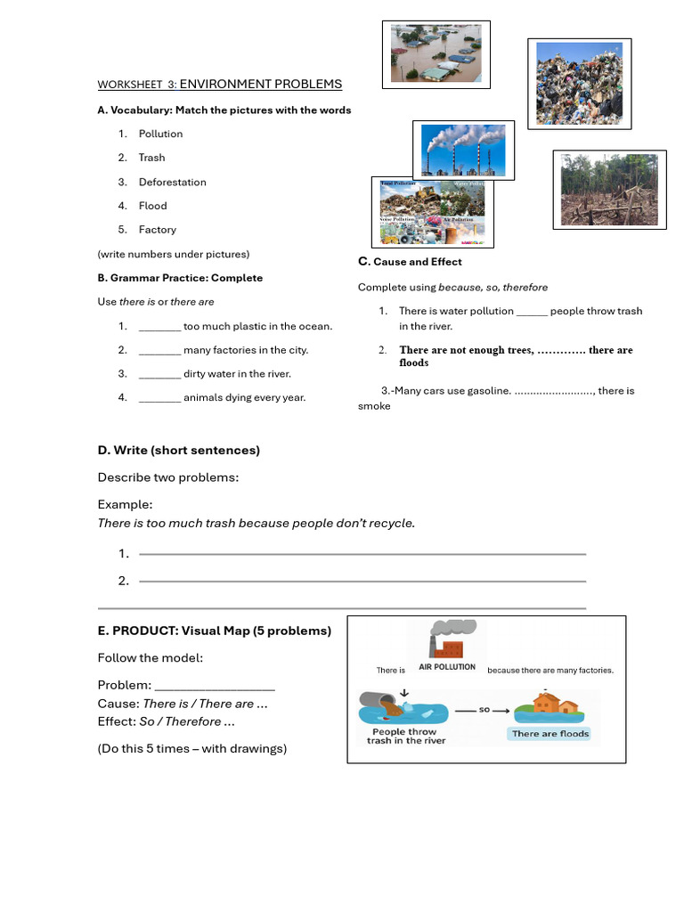 Environmental Problems Worksheet | PDF