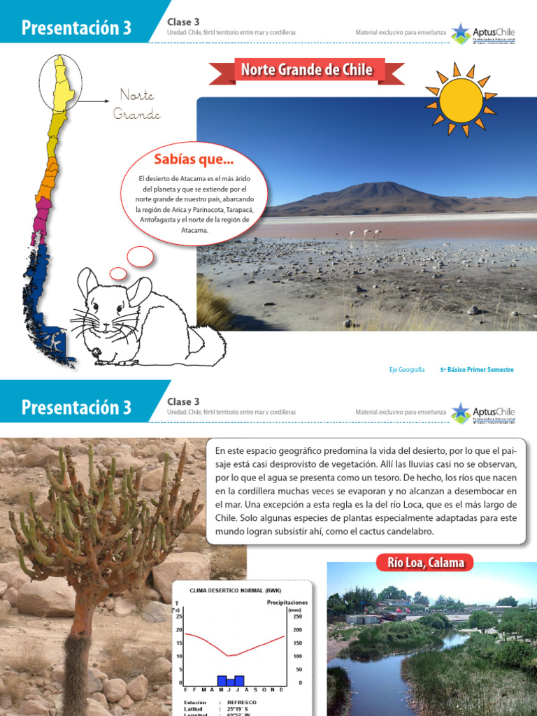Geografía del Norte Grande de Chile | PDF | Chile | Geografía Física
