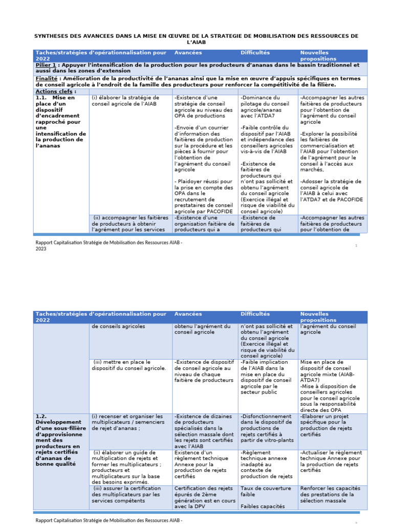 Avancées et défis de la stratégie AIAB 2022 | PDF | Banques | Crédit