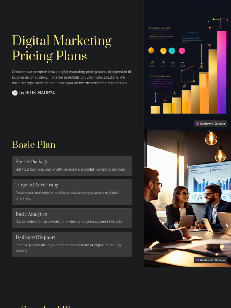 Digital Marketing Pricing Plans | PDF | Digital Marketing | Marketing