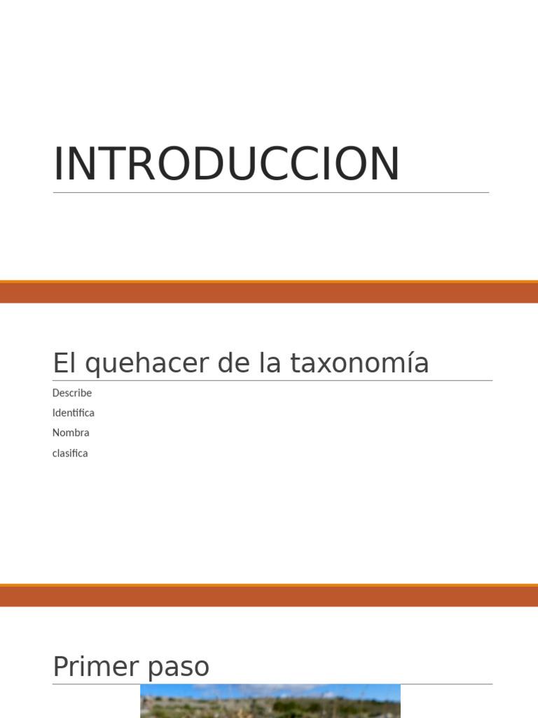 Practica 01 Rev | PDF