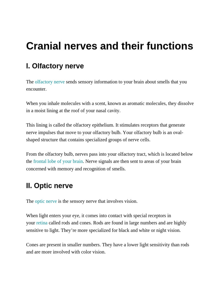 Functions of Cranial Nerves Explained | PDF | Spinal Cord | Brainstem