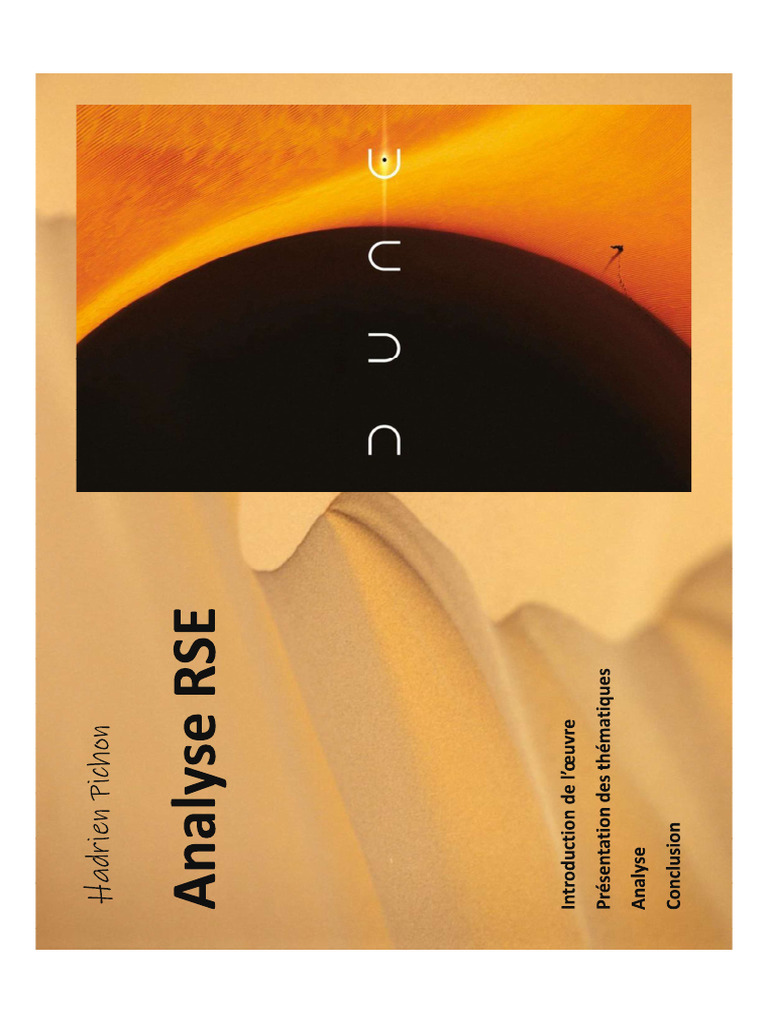 PICHON Hadrien - RSE Exposé | PDF