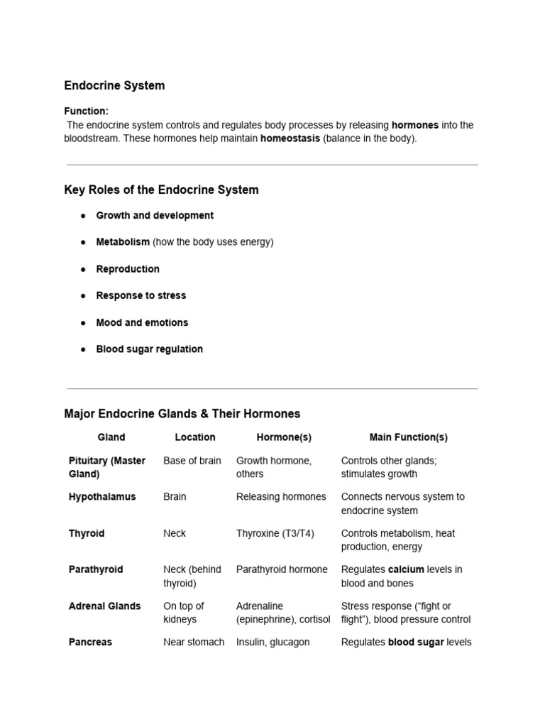 Overview of the Endocrine System | PDF