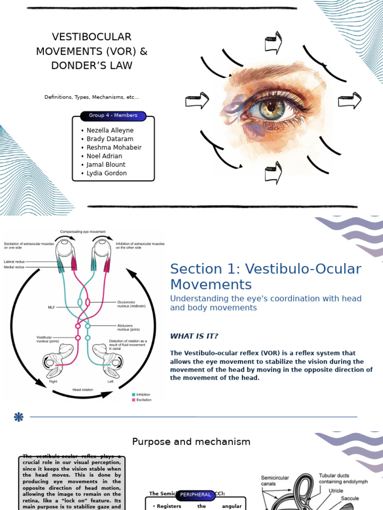 Group 4 Neuro Final | PDF | Vestibular System | Nervous System