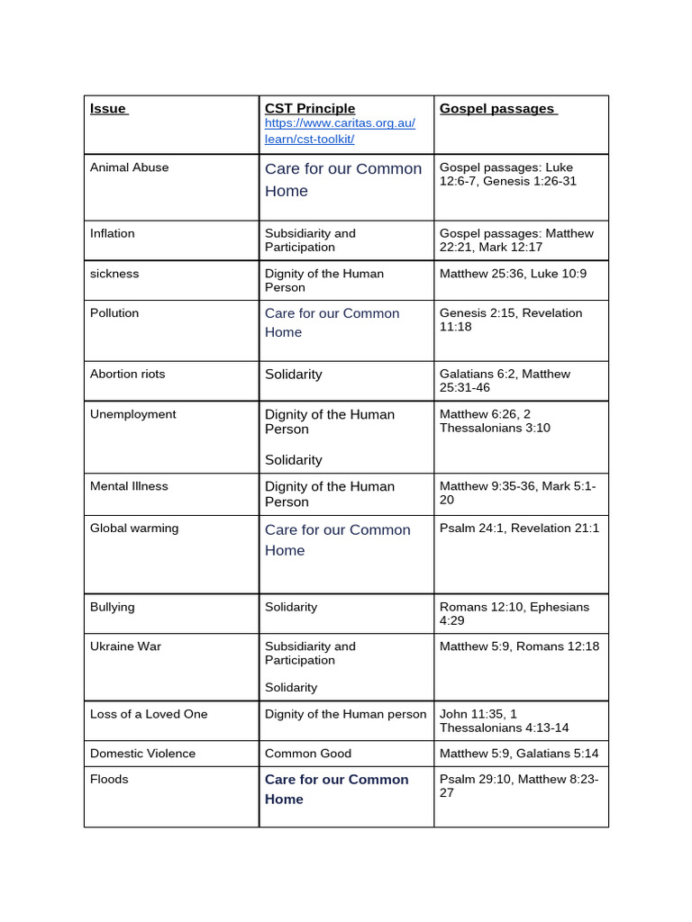 Catholic Social Teaching Issues Guide | PDF