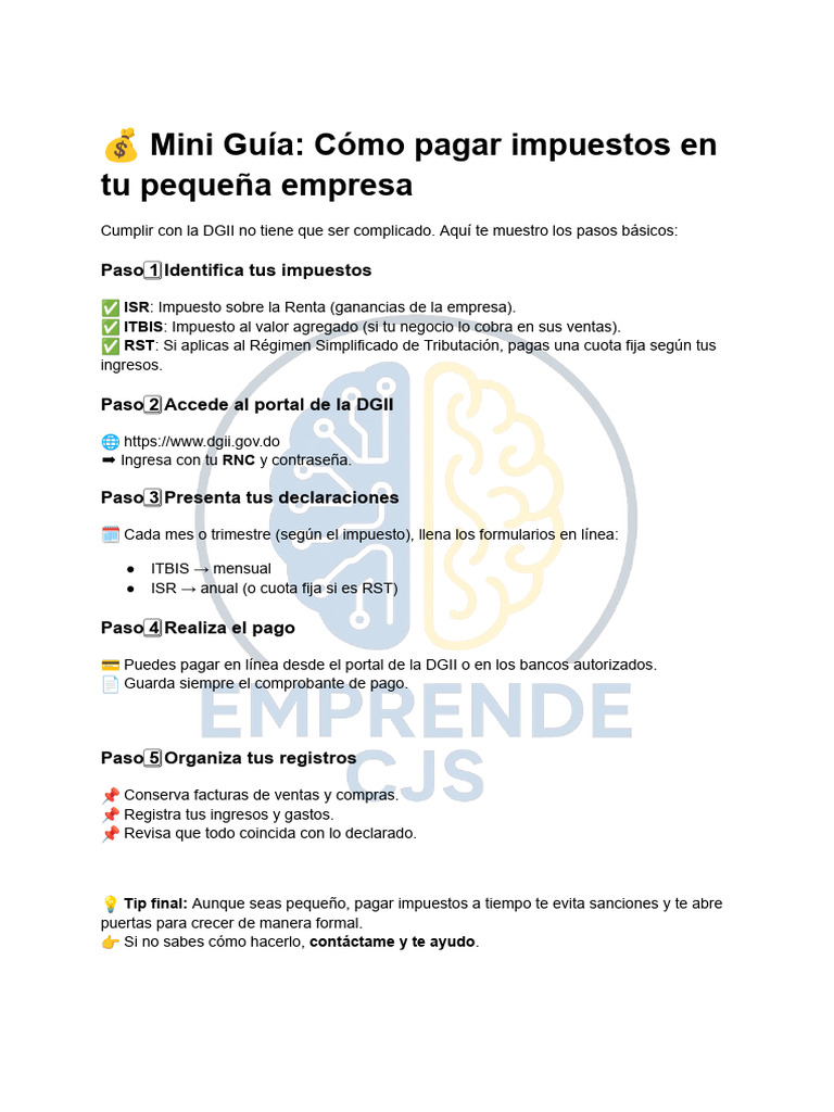 ? Mini Guía - Cómo Pagar Impuestos en Tu Pequeña Empresa | PDF