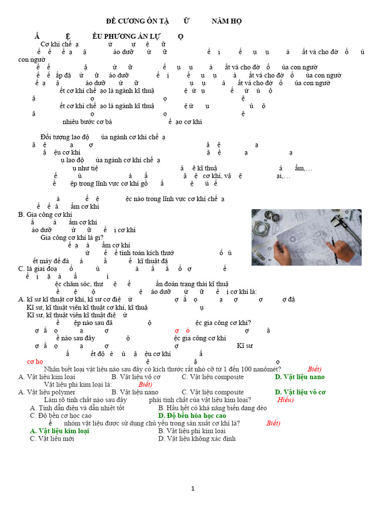 ĐÁP-ÁN-ĐỀ-CƯƠNG_GIỮA-HKI_CN11 | PDF