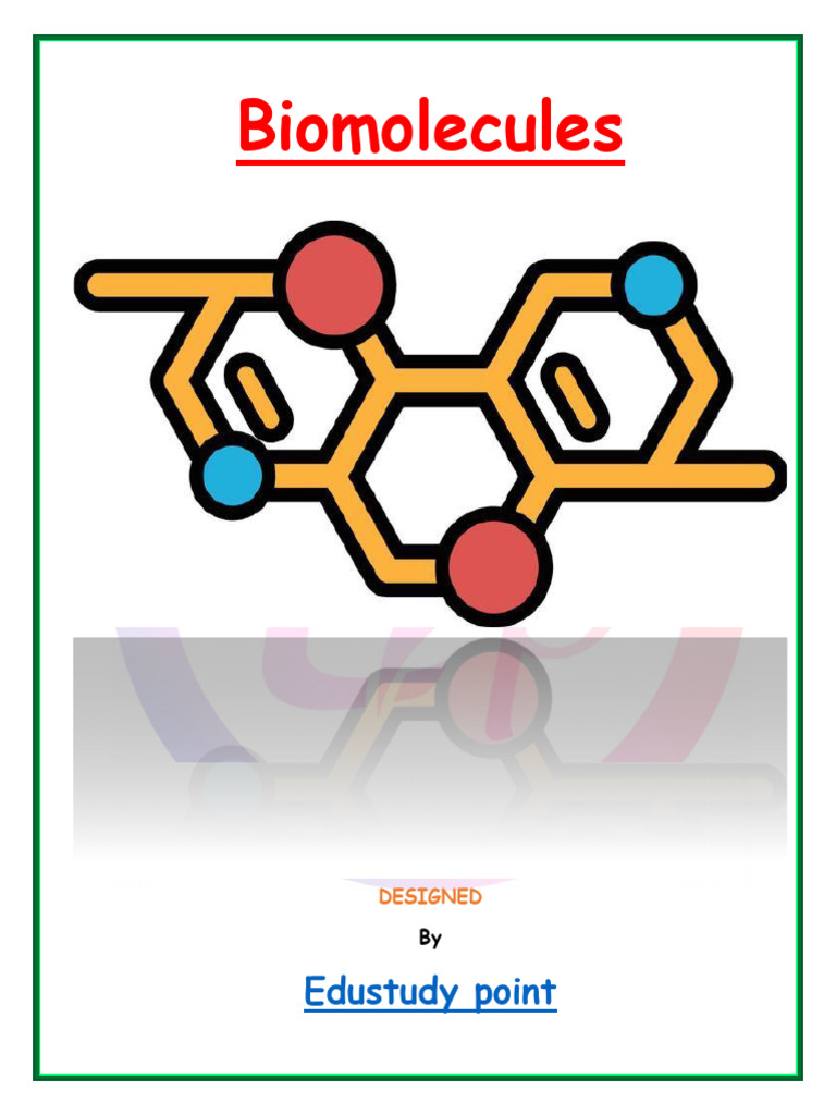 Overview of Biomolecules and Their Types | PDF | Nucleotides | Nucleic ...