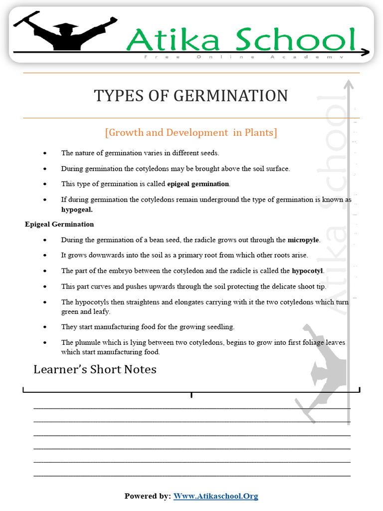 Types of Plant Germination Explained | PDF | Germination | Seedling