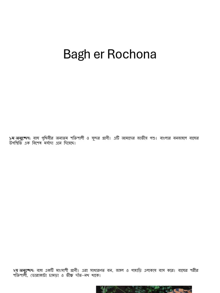 Baghher Rochona | PDF