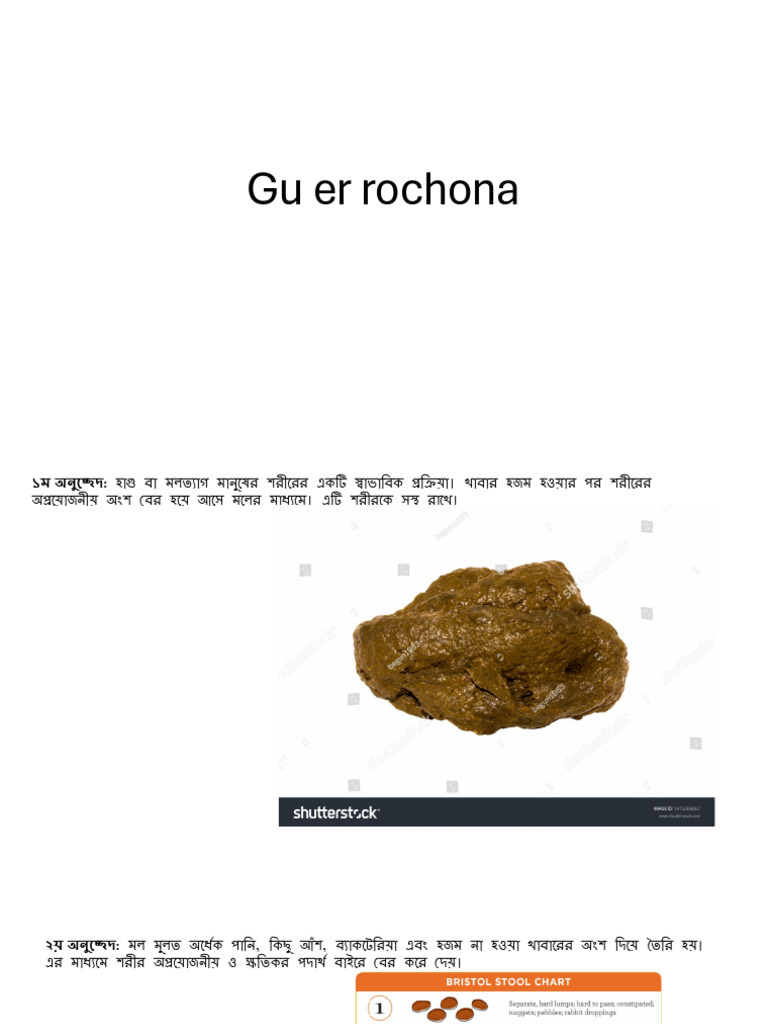 Gu Er Rochona | PDF