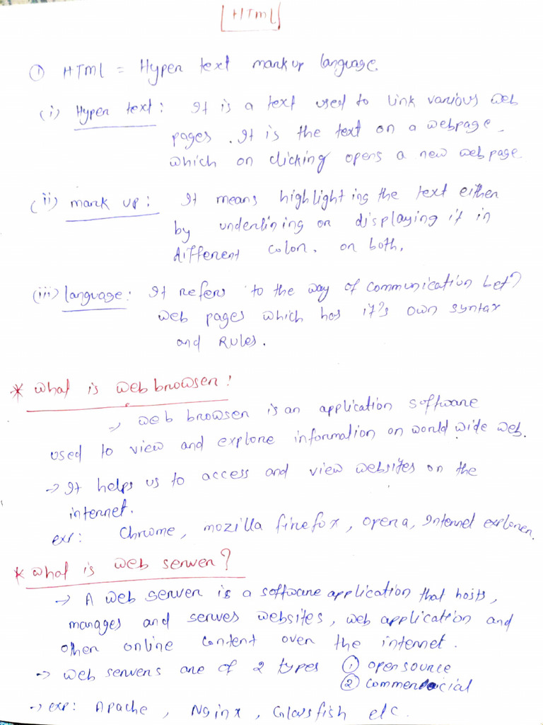HTML Document Structure Guide | PDF