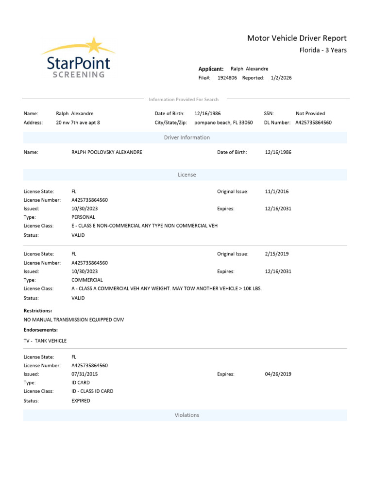 Ralph Alexandre Driver Report Summary | PDF | Driving | Land Transport