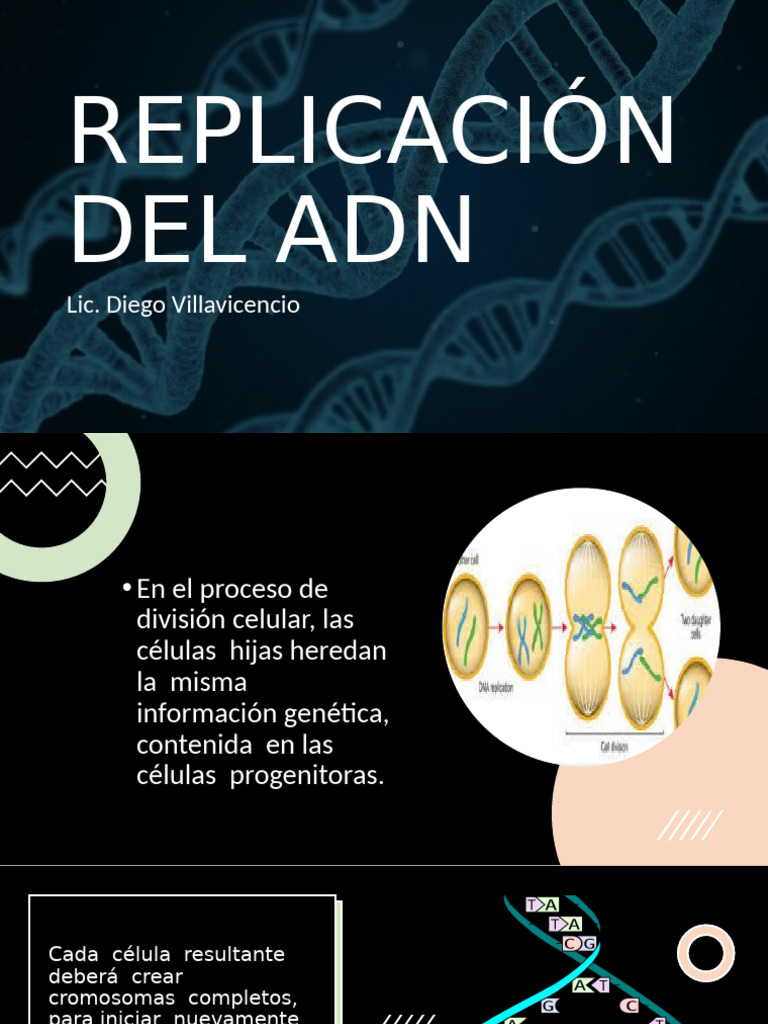 Replicación Del Adn | PDF | Cromosoma | Replicación De Adn
