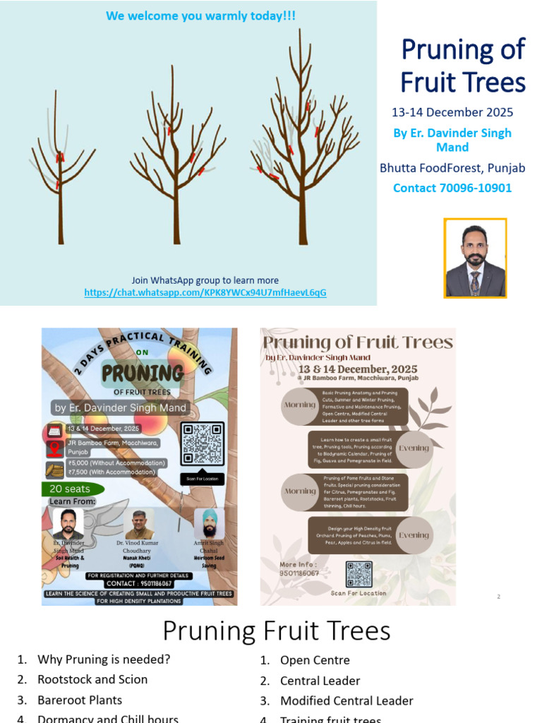 21 Fruit Tree Pruning13-14 Dec 2025 v3 for sharing | PDF | Pruning | Trees
