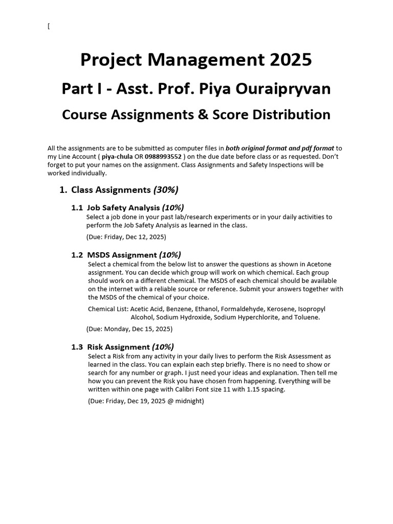 Project Management 2025 Assignments Guide | PDF