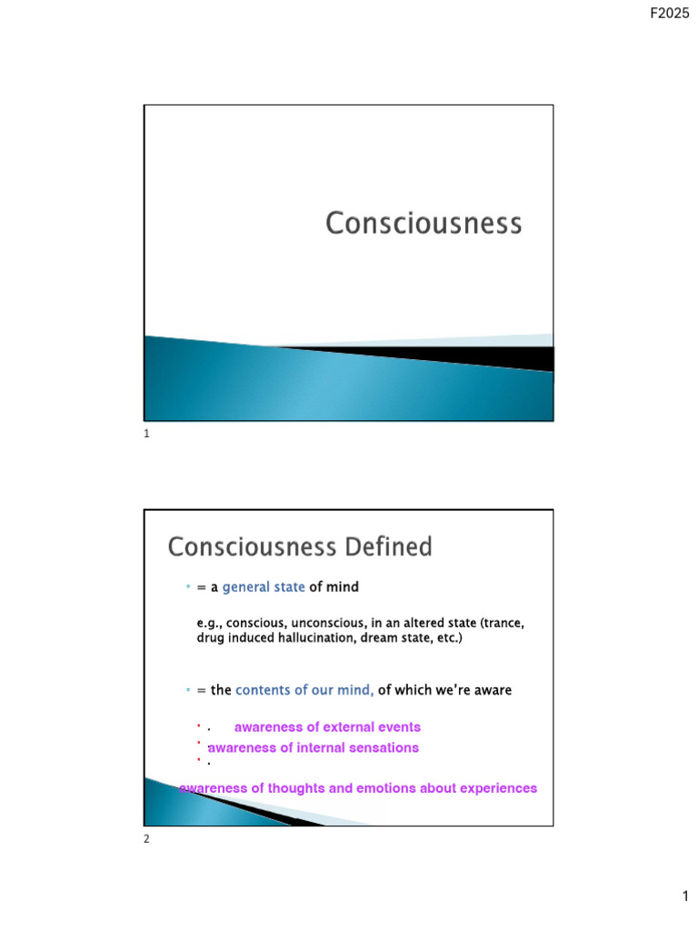 4 Consciousness Students PDF 2 Slide | PDF | Sleep | Opioid