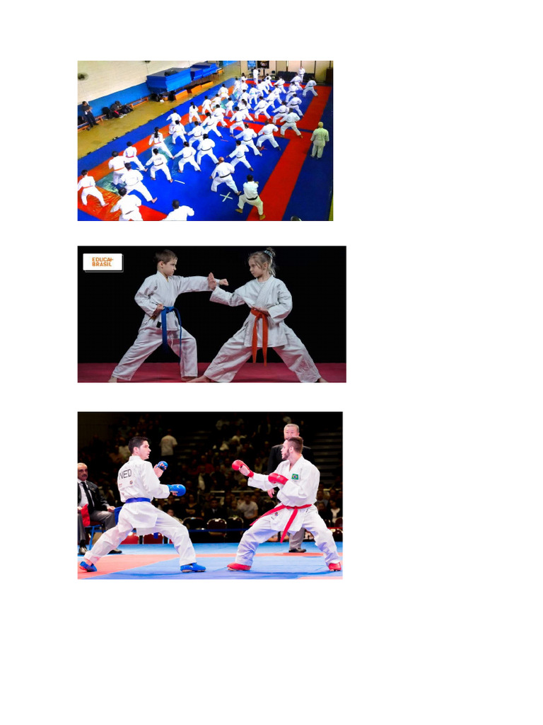 Karate | PDF