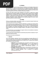 Download EL TRAX Y ABDOMEN by Gaby SN97611769 doc pdf