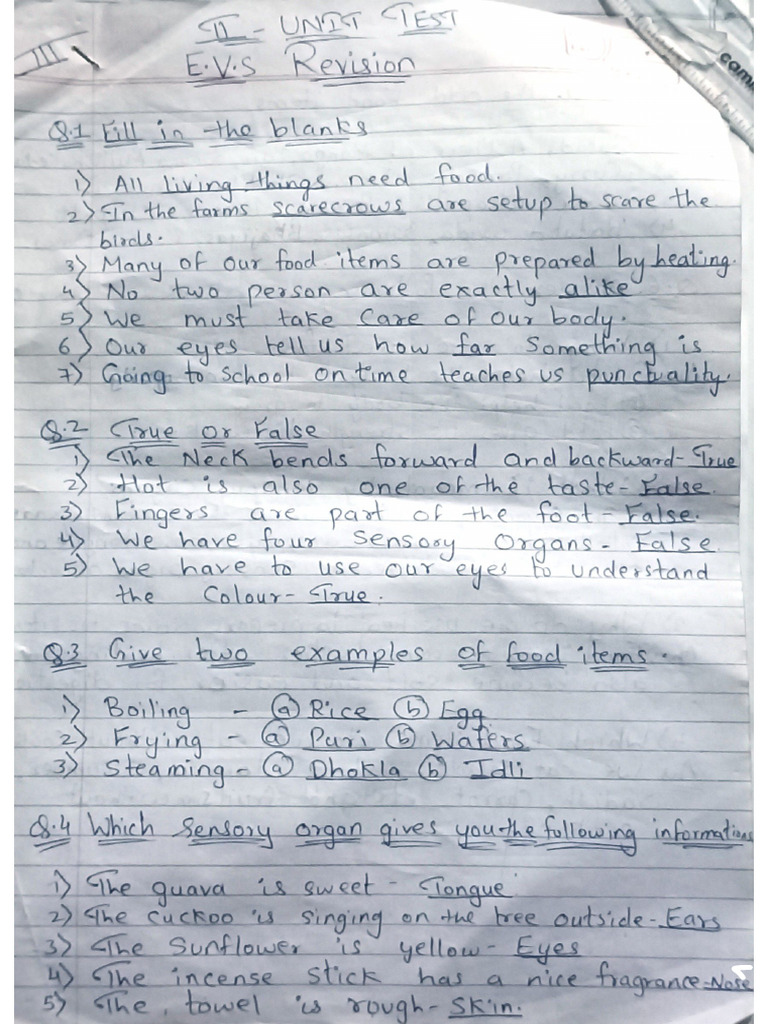 E. v. S - Revision of 2nd Unit Test | PDF
