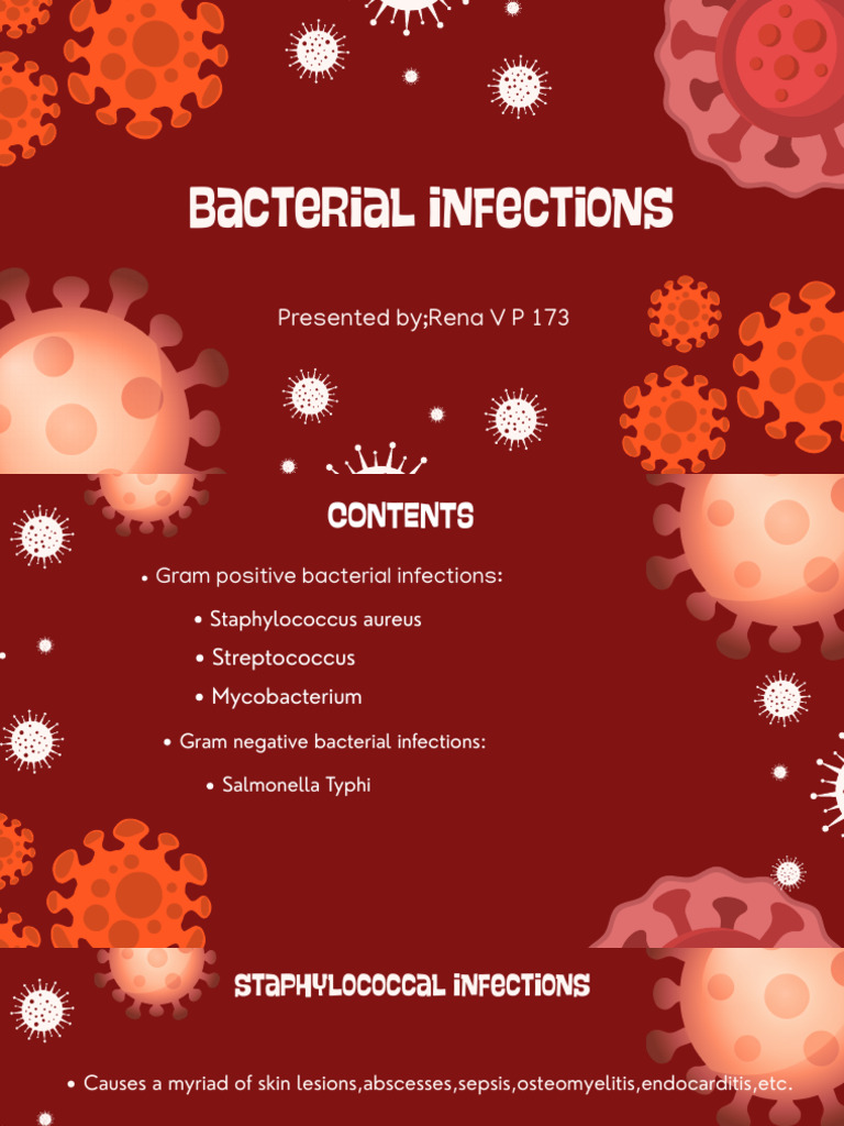 Overview of Bacterial Infections | PDF | Streptococcus | Staphylococcus ...