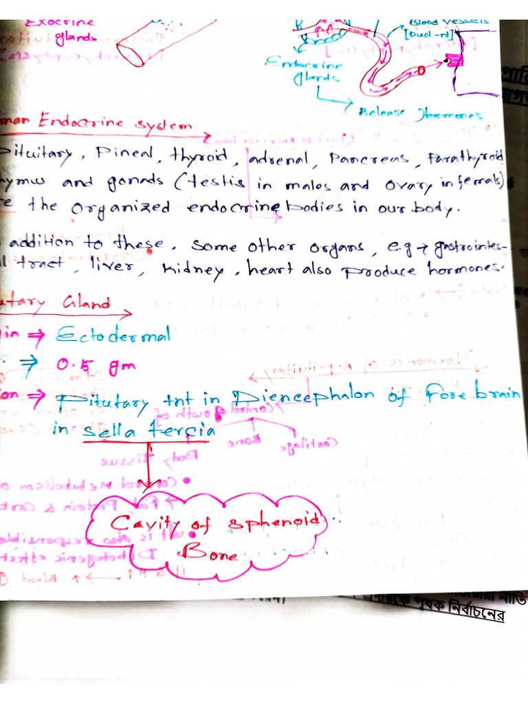 Komol Kanto Research Papers | PDF