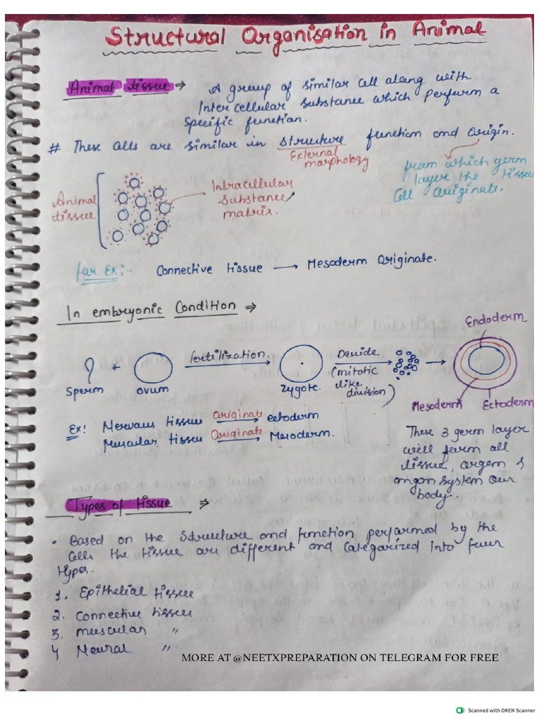 1 Structural Organization Handwritten Notes (Nomesh Sir) | PDF