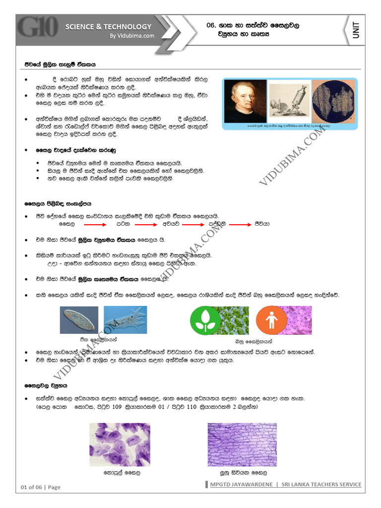 G10 06 Structure and Functions of The Plant and Animal Cell | PDF ...